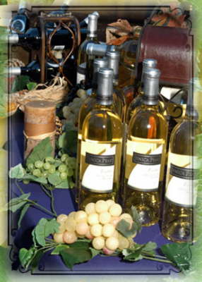 CWJ-Slide-show-8