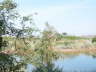 DSCN7417