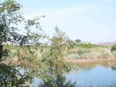 DSCN7417