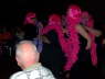 More flamingos - Spring Conference 2005